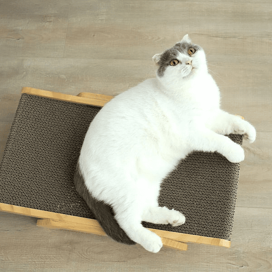 Arranhador Para Gatos - Évory