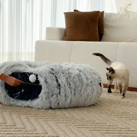 Bebedouro Inox Flow & CozyCave