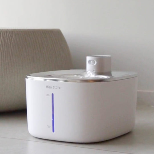 Fonte Inox Flow Wireless™