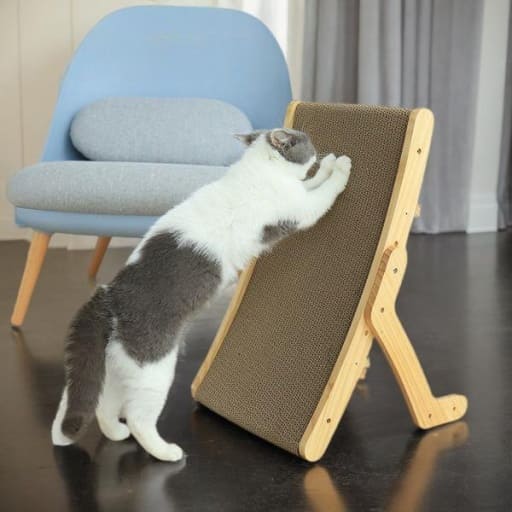 Arranhador Para Gatos - Évory