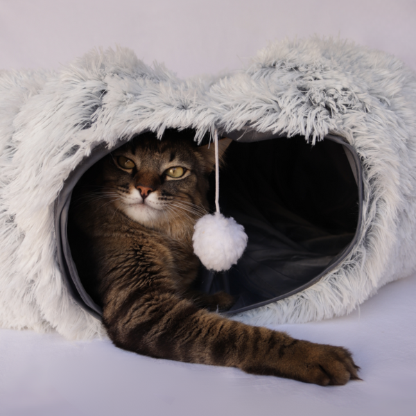 Toquinha CozyCave™