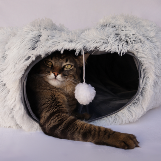 Toquinha CozyCave™