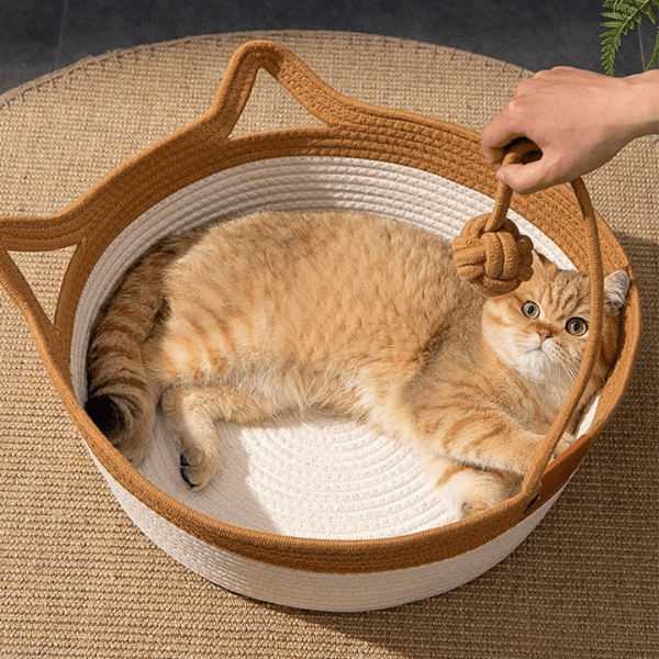 Caminha Catdawn™