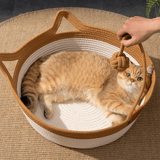 Caminha Catdawn™