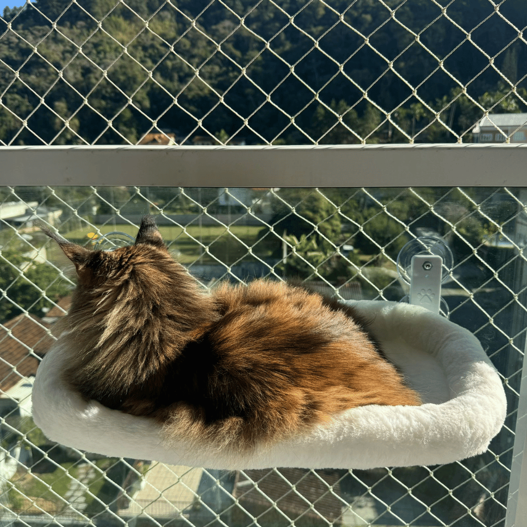 Caminha Cat Glass™