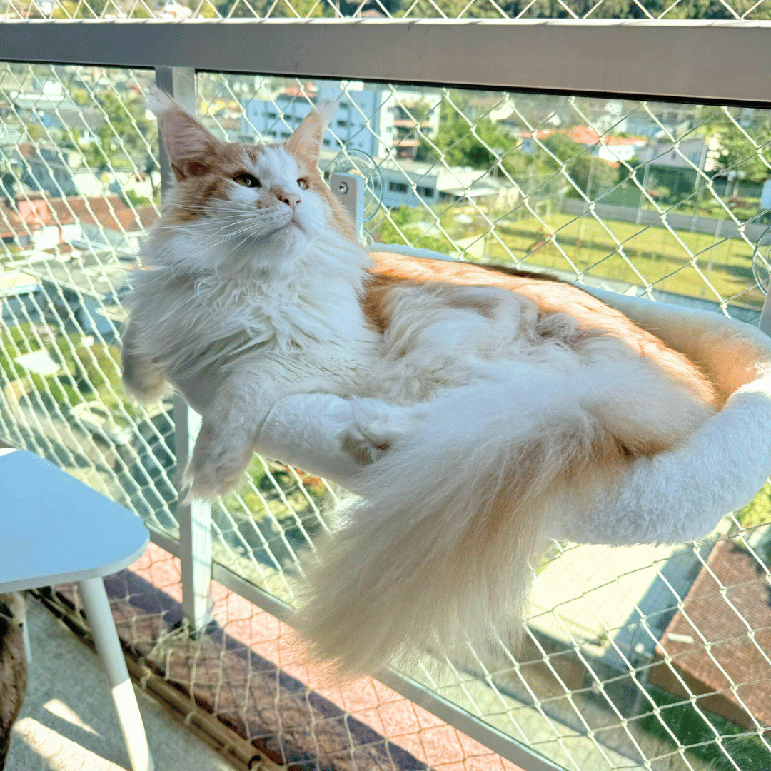 Caminha Cat Glass™
