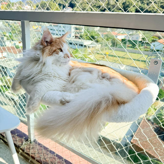 Caminha Cat Glass™
