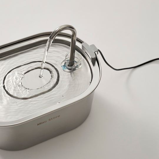 Comedouro Waller & Bebedouro Inox Flow