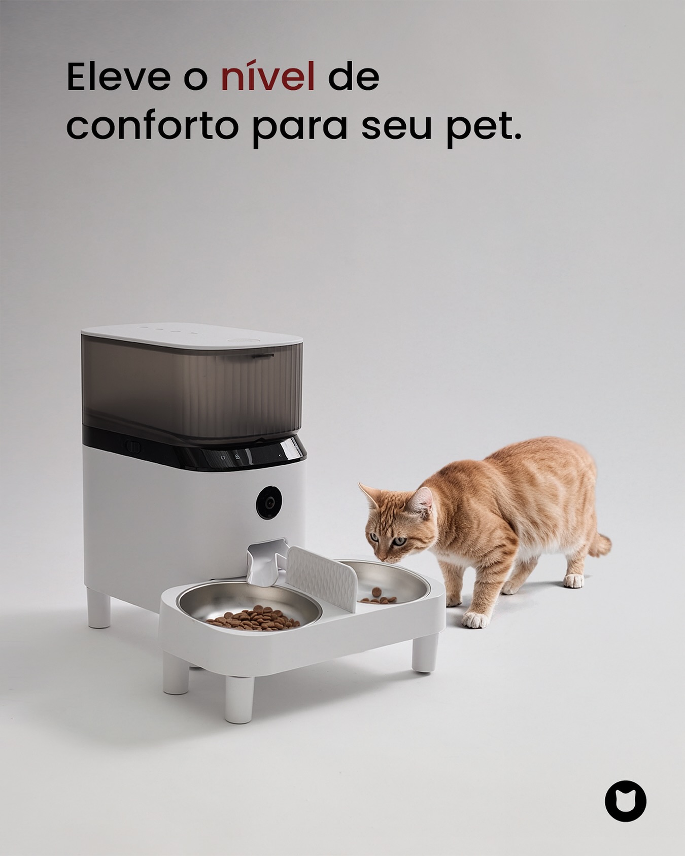 Comedouro Automático Para Gatos