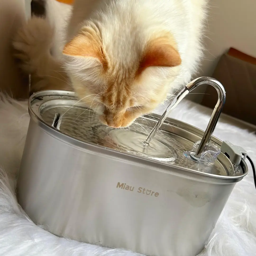 Bebedouro Inox Flow para Gatos – Mais saúde, menos preocupações. O Bebedouro Inox Flow da Miau Store é a escolha ideal para quem busca um bebedouro para gatos em aço inox que alie higiene, durabilidade e incentivo à hidratação felina. Desenvolvido com aço inoxidável de alta qualidade, o Inox Flow é resistente à ferrugem, evita a proliferação de bactérias e é fácil de higienizar — perfeito para gatos sensíveis ou com histórico de problemas urinários. Além de manter a água em constante circulação e filtragem, o bebedouro em inox para gatos estimula o consumo de água fresca, algo essencial para prevenir doenças renais, comuns entre felinos domésticos.