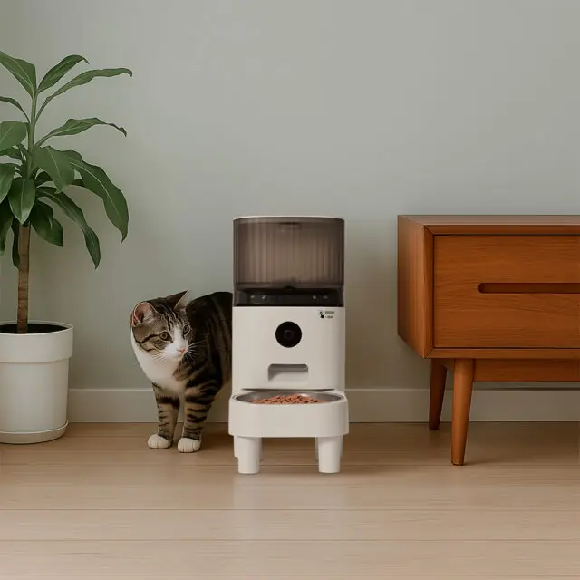 Comedouro Automático Para Gatos