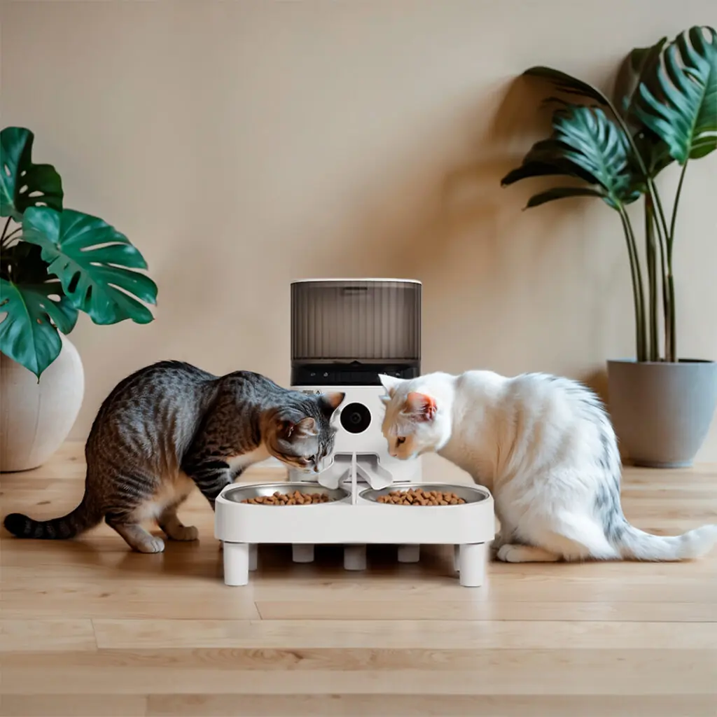 Comedouro Automático Para Gatos