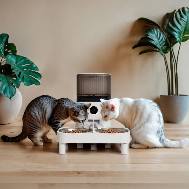 Comedouro Automático Para Gatos